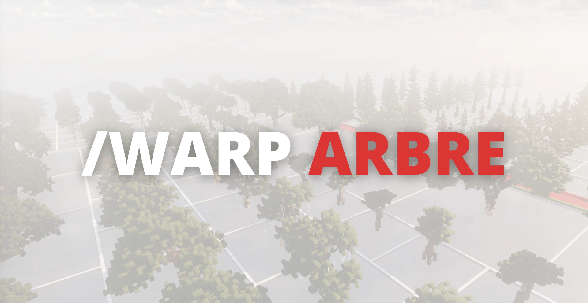 Annonce du warp arbre
